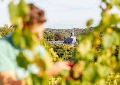 Photos des vendanges 2018