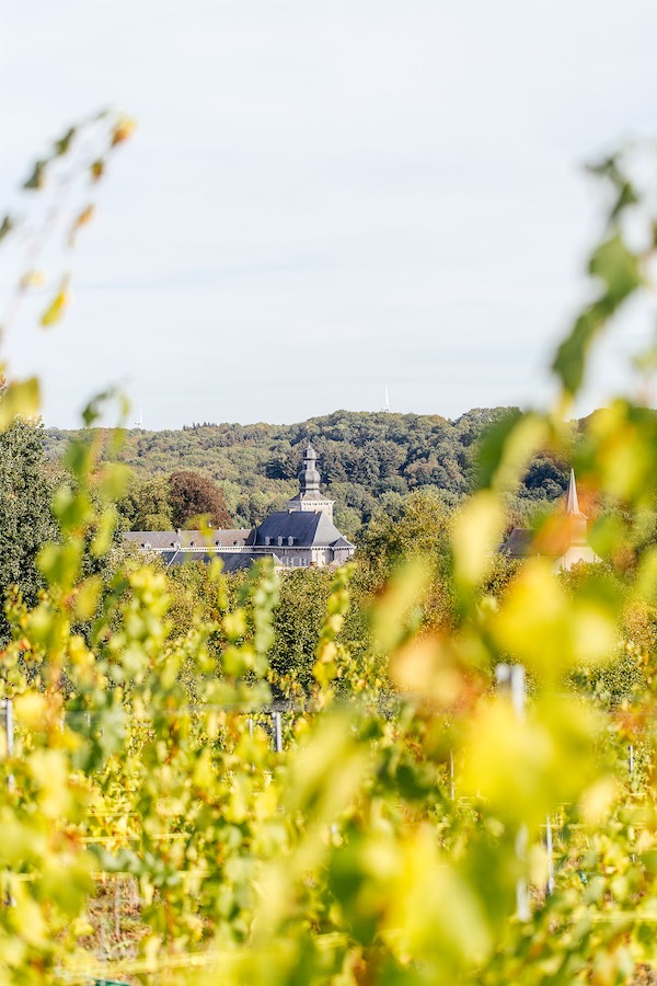 vignoble belge