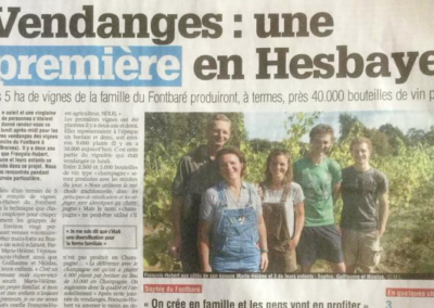 Vendanges : une première en Hesbaye