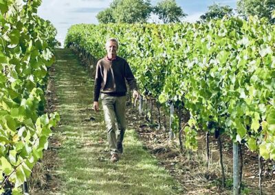 La vigne sous l’oeil du patron !