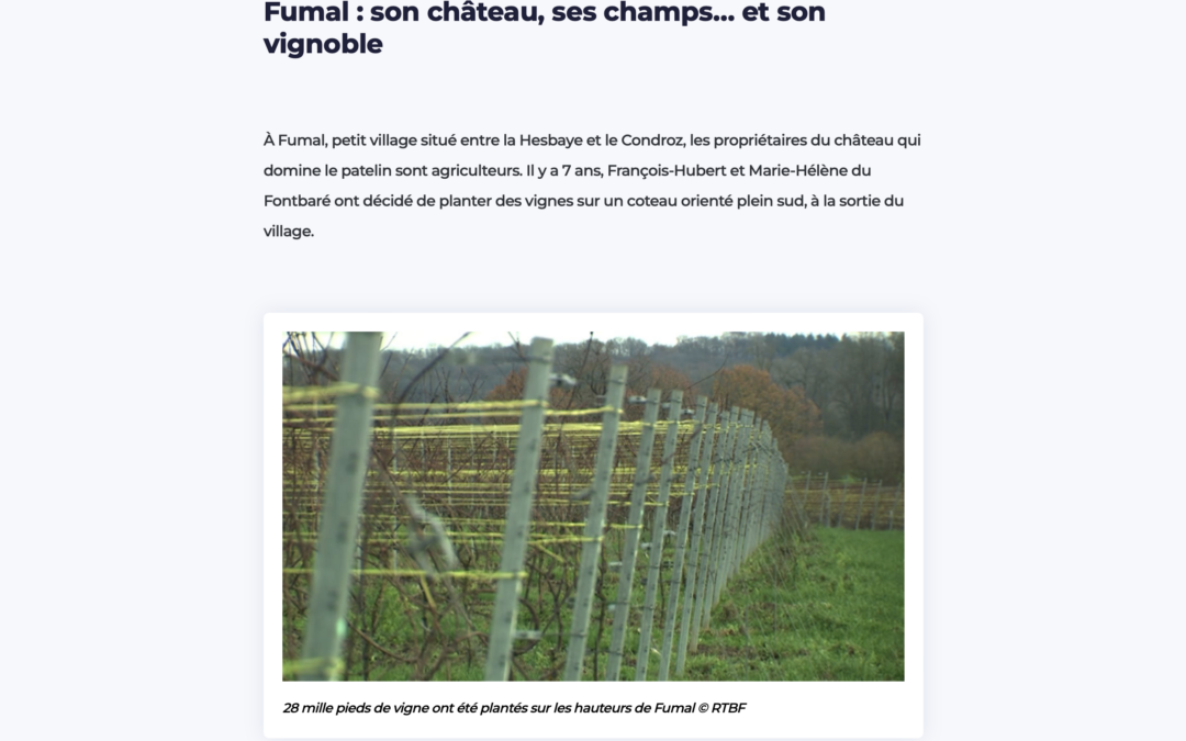 RTBF – Vins pétillants : pourquoi les Wallons investissent dans les vignes ?