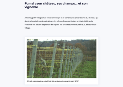 RTBF – Vins pétillants : pourquoi les Wallons investissent dans les vignes ?