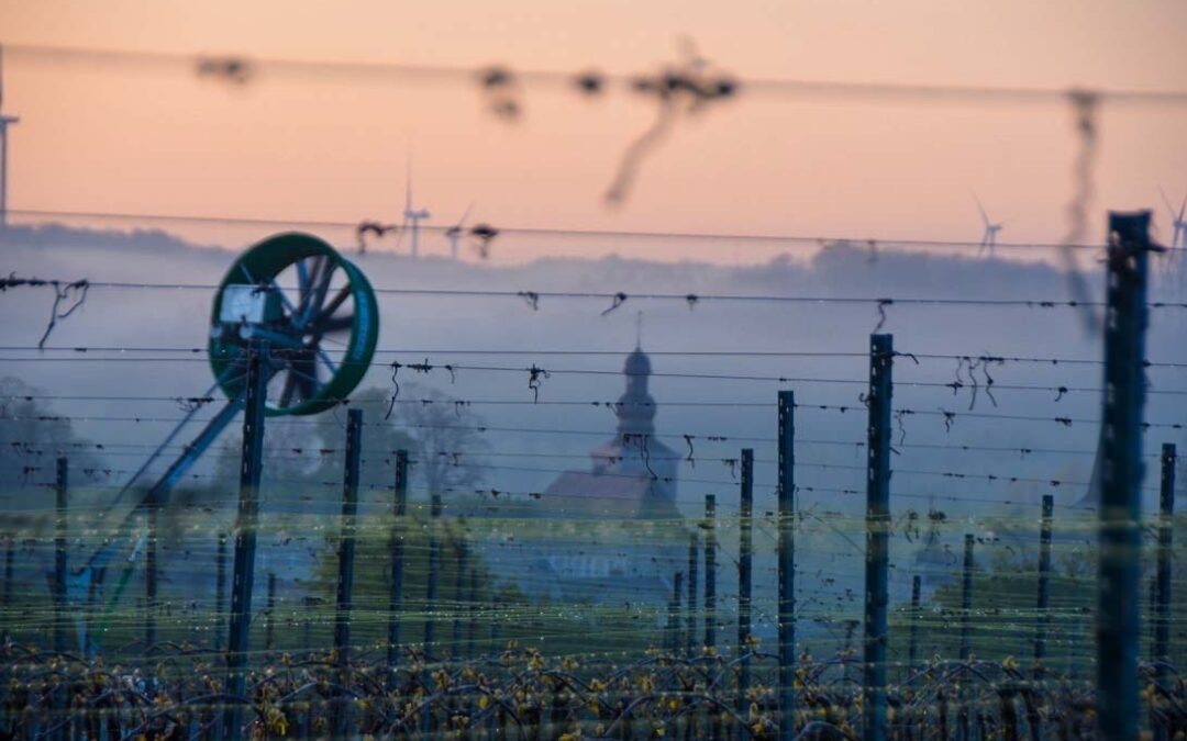 Vaincre le froid dans les vignes
