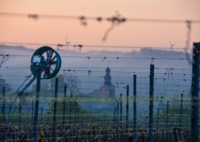 Vaincre le froid dans les vignes