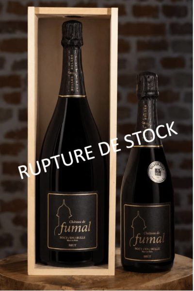 MAGNUM 350 ANS NOCT/EN/BULLE 2022 <br>