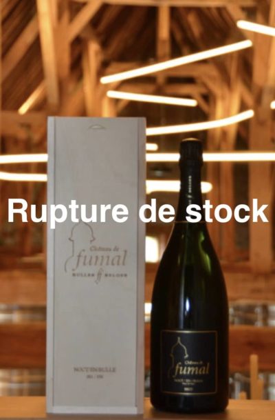 MAGNUM 350 ANS NOCT/EN/BULLE 2022 <br>
