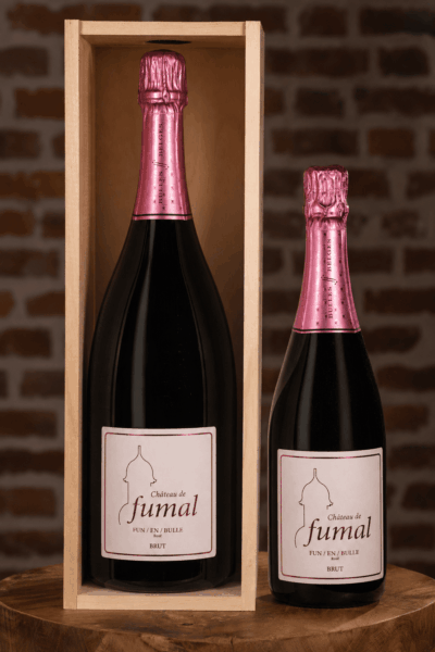 MAGNUM 350 ANS FUN/EN/BULLE 2022 <br>