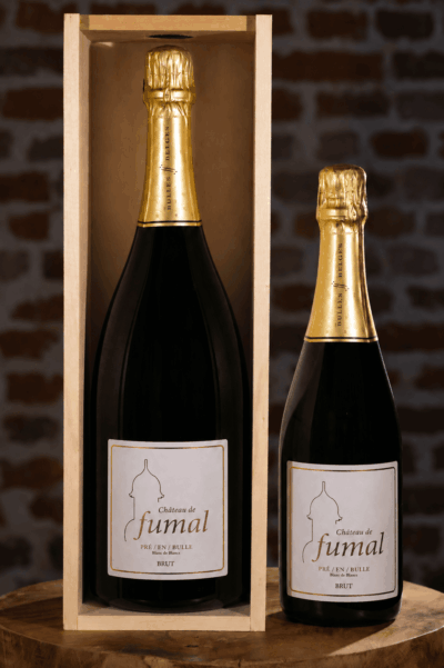 MAGNUM 350 ANS PRE/EN/BULLE 2022 <br>