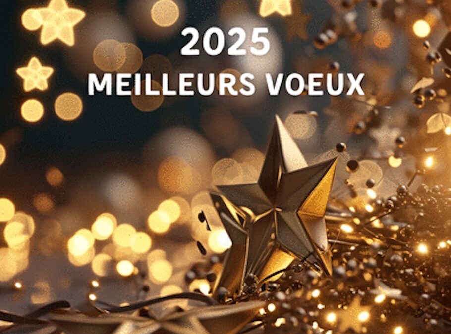 Meilleurs voeux 2025