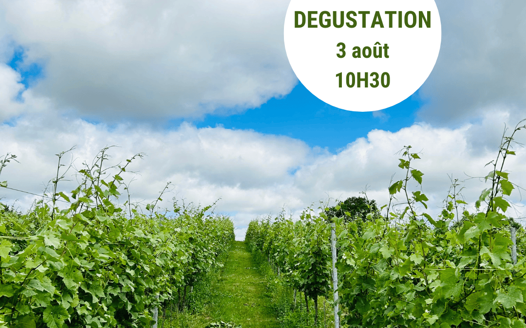 Visite guidée et dégustation ouverte au public le dimanche 3 août 2025