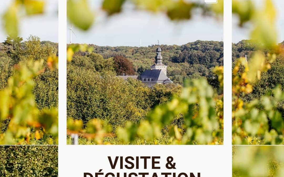 Visite guidée et dégustation ouverte au public le dimanche 26 juillet 2026 à 10h30