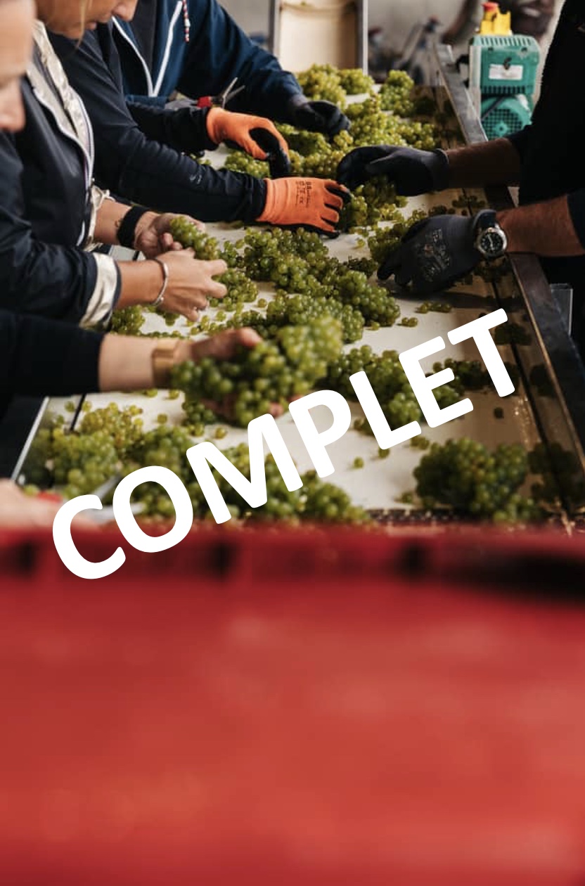 Vendanges bénévoles du samedi 05 septembre 2026