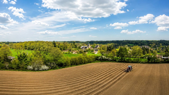 vignoble belgique