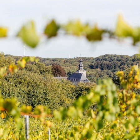 vignoble belge fumal