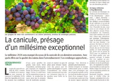 La canicule, présage d&rsquo;un millésime exceptionnel