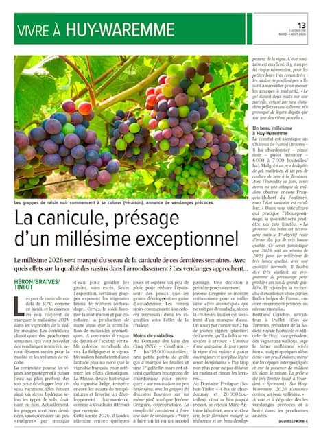 La canicule, présage d&rsquo;un millésime exceptionnel