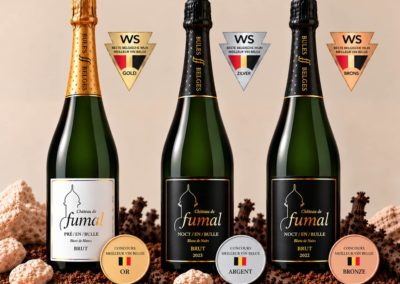 Nouvelles récompenses pour Nos Bulles: une médaille d&rsquo;or, une médaille d&rsquo;argent & une médaille de bronze!